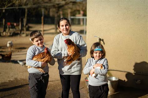 granja cerca de barcelona